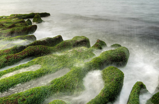海藻海岸景觀