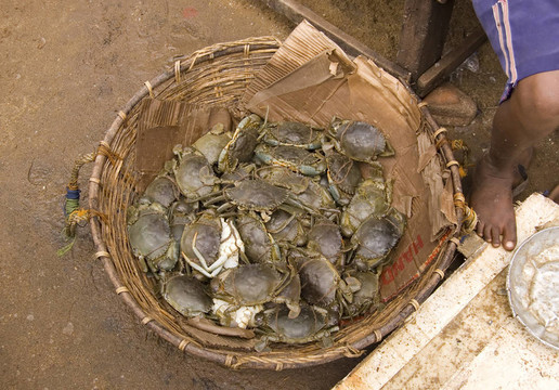 魚(yú)市場(chǎng)