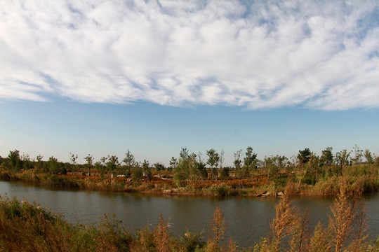 馬踏湖濕地公園