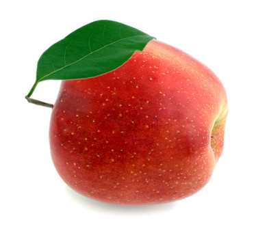 蘋果紅綠葉