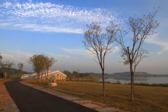 馬踏湖濕地公園