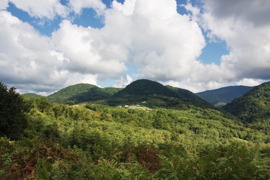 在紅波利亞納山；索契