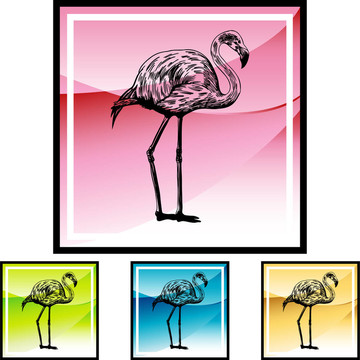 火烈鳥