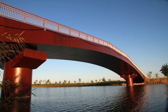 觀景大橋