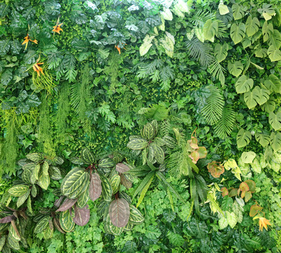 植被墻