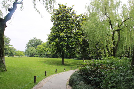 西湖 岸邊 公園 休息區(qū)