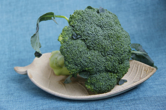 靜物西蘭花