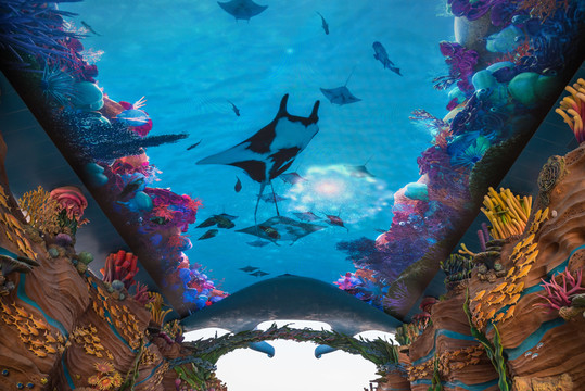 水族館巨幕穹頂