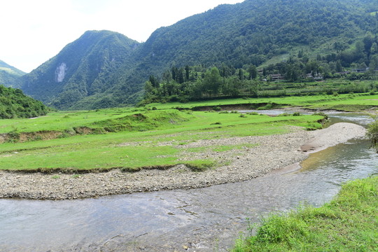 草原風光