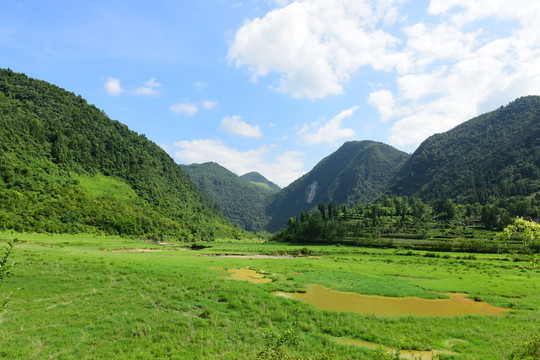 草原風(fēng)景