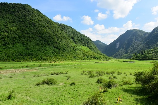 草原風(fēng)景