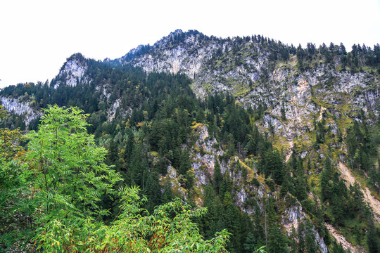 歐洲德國新天鵝石城堡大山