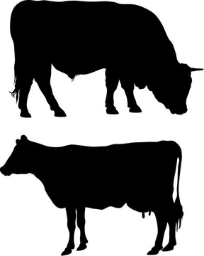 農(nóng)場里的動物