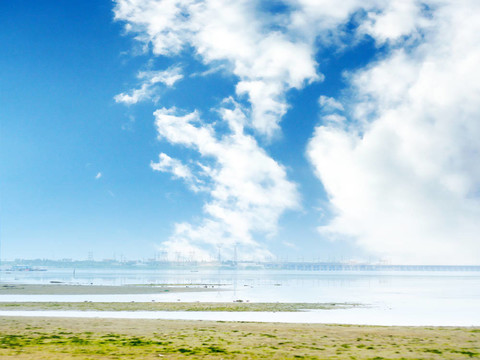 美麗的海景