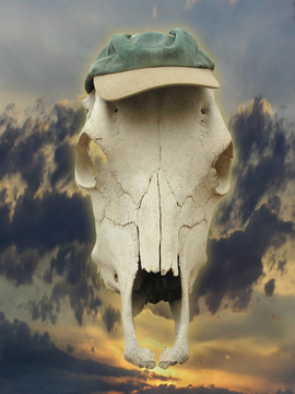 Horse Skull帽子