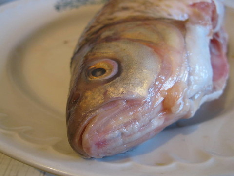 魚頭