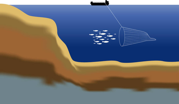 深海狩獵之旅