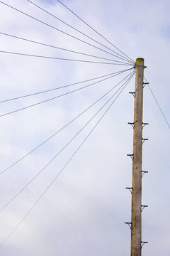 電線桿