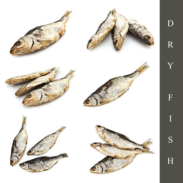 干魚集