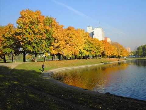 城市公園的秋天