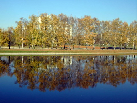 黃金瀑布公園