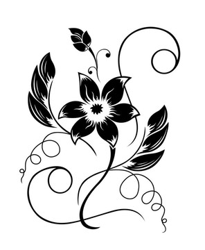 花黑白圖案