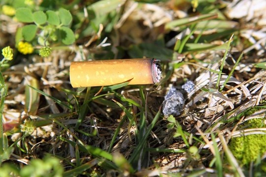 森林火災(zāi)煙氣宏觀宏觀危害