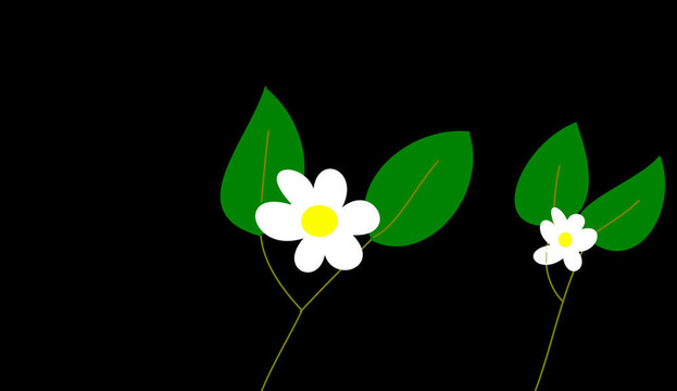 雛菊