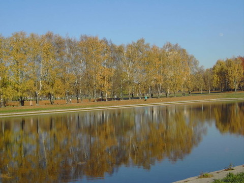 黃金瀑布公園