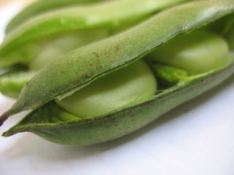 豆類