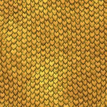 龍皮