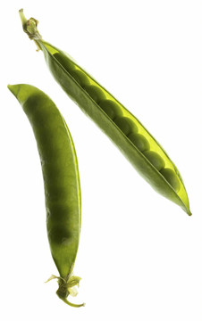 白背景豌豆莢