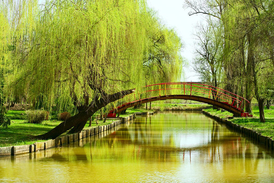 公園橋上的水