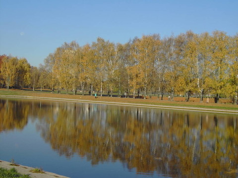 黃金瀑布公園