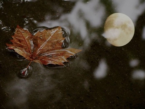 秋天的月亮