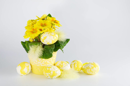 復(fù)活節(jié)彩蛋和報(bào)春花在白色背景