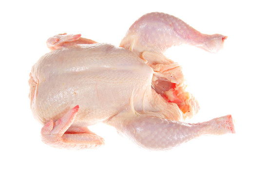 生雞肉