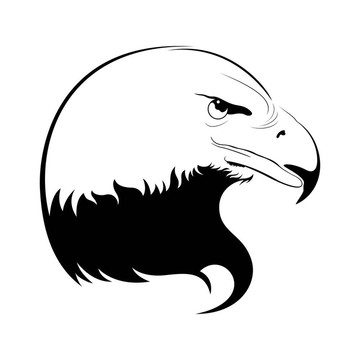 鷹