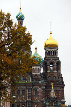 俄罗斯.圣彼得堡。城市景观