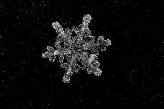 抽象背景下的天然雪花