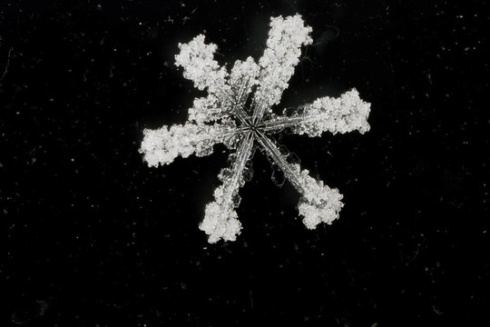 抽象背景下的天然雪花