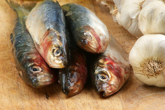 在一個木板的新鮮有機(jī)沙丁魚