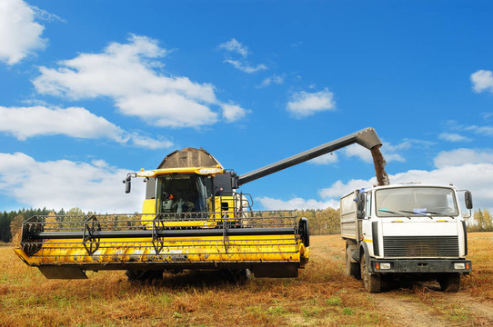 在田間裝載卡車(chē)的聯(lián)合收割機(jī)