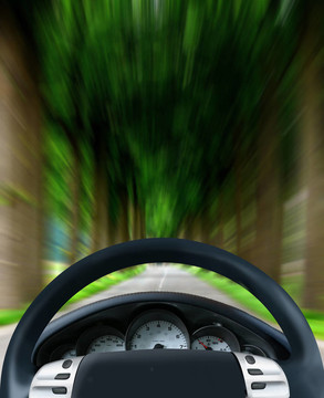 森林公路方向盤