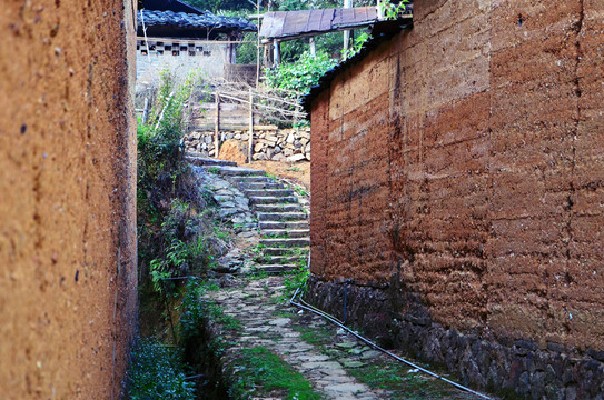 鄉(xiāng)間小路 農(nóng)村 土墻
