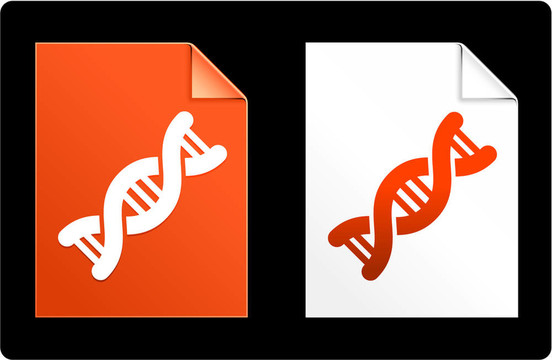 紙上DNA