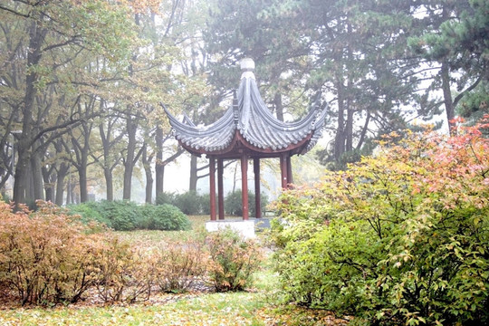 中國(guó)園林中的霧晨