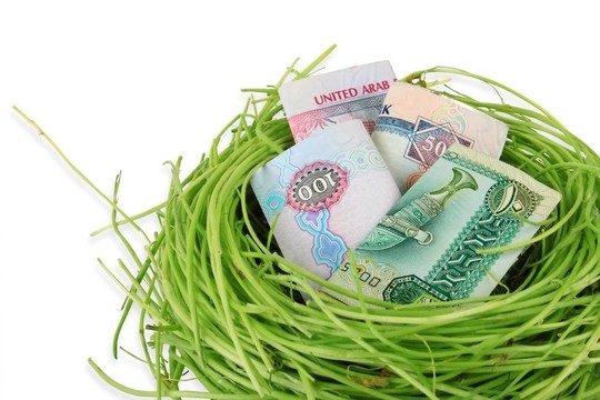UAE貨幣迪拉姆在巢