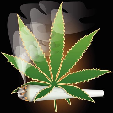 大麻大麻聯合