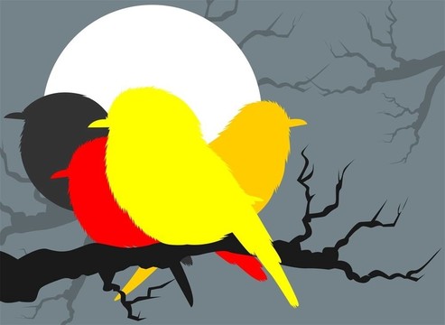 鳥